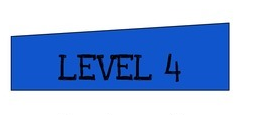 Level 4 